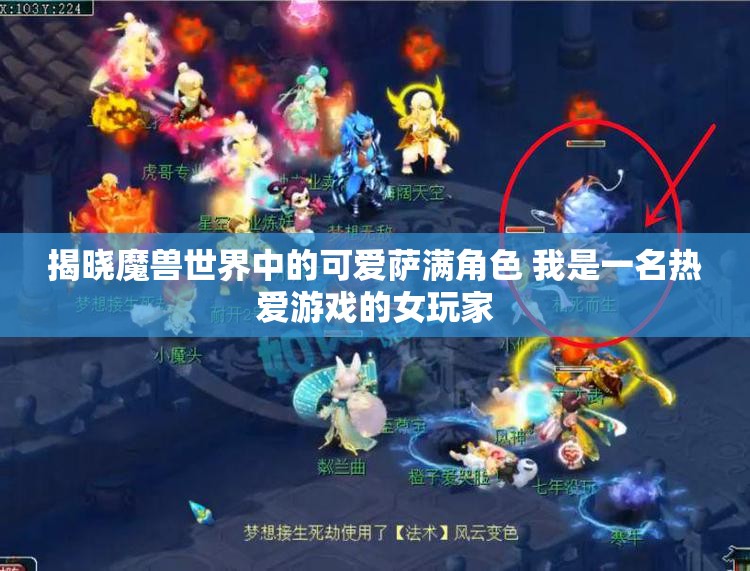 揭晓魔兽世界中的可爱萨满角色 我是一名热爱游戏的女玩家