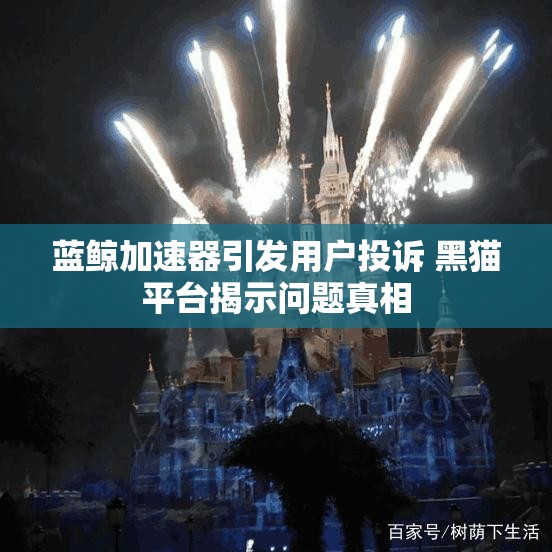 蓝鲸加速器引发用户投诉 黑猫平台揭示问题真相