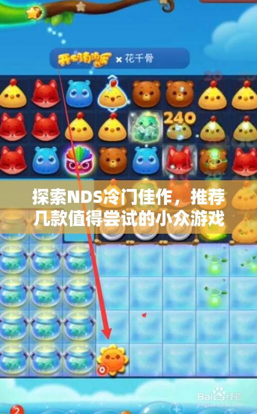 探索NDS冷门佳作，推荐几款值得尝试的小众游戏