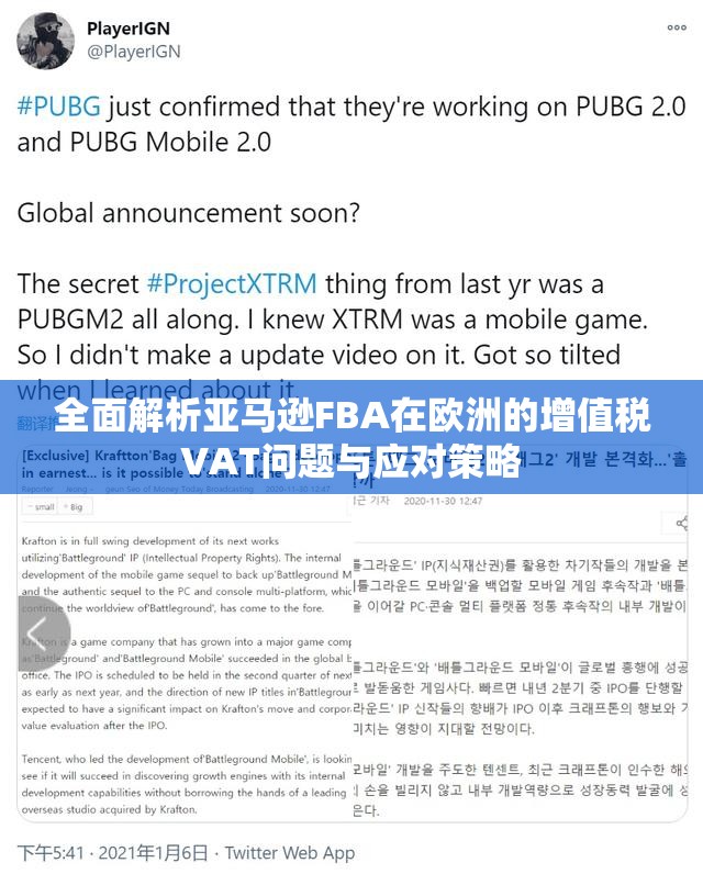 全面解析亚马逊FBA在欧洲的增值税VAT问题与应对策略