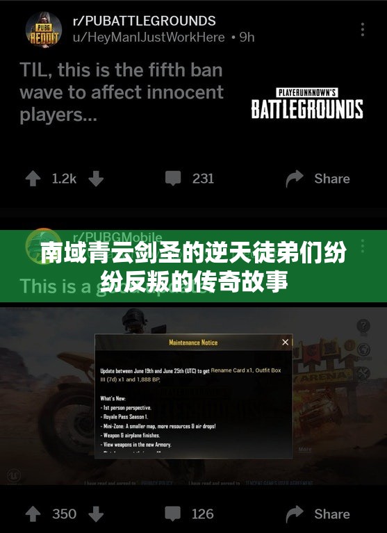 南域青云剑圣的逆天徒弟们纷纷反叛的传奇故事