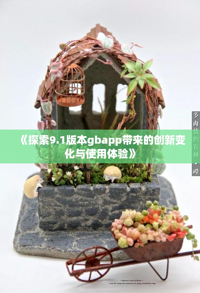 《探索9.1版本gbapp带来的创新变化与使用体验》